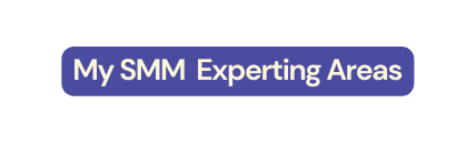 My SMM Experting Areas